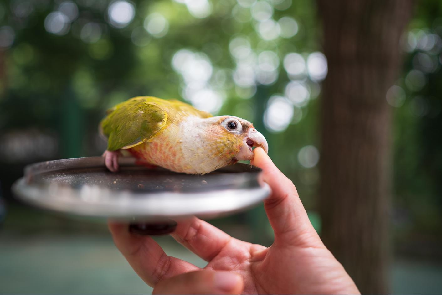 Z6？贼溜！——十五年佳能老用户的尼康初体验