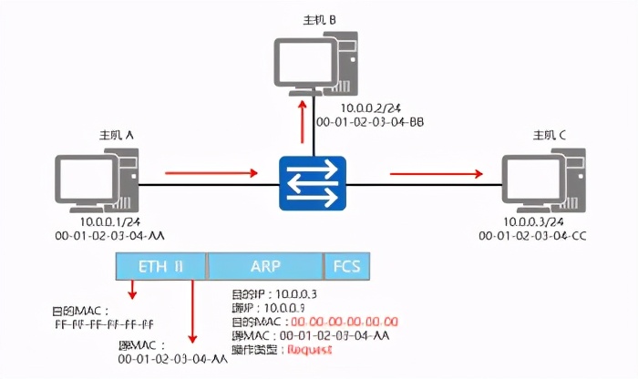 网工必看的好书,网工必读两本书