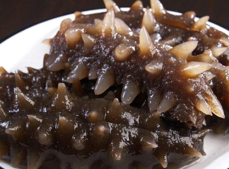 养殖海参和野生海参有区别吗,养殖海参和野生海参怎么区别