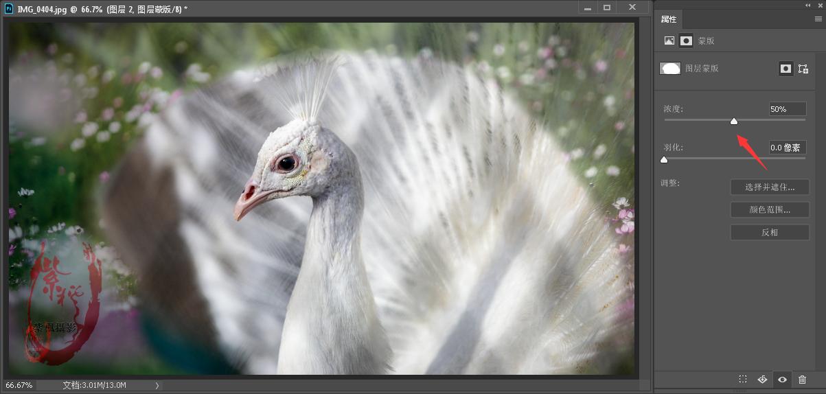 ps零基础抠图蒙版教程,ps蒙版抠图教程详细过程