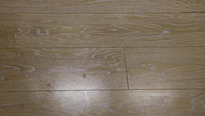 一口气丢了6个鸡肋拖把,我终于收获了舔地级干净