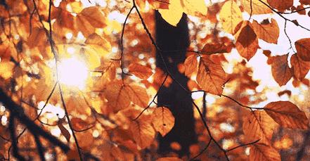 大悦城有什么值得去,大悦城的电影院叫什么名字