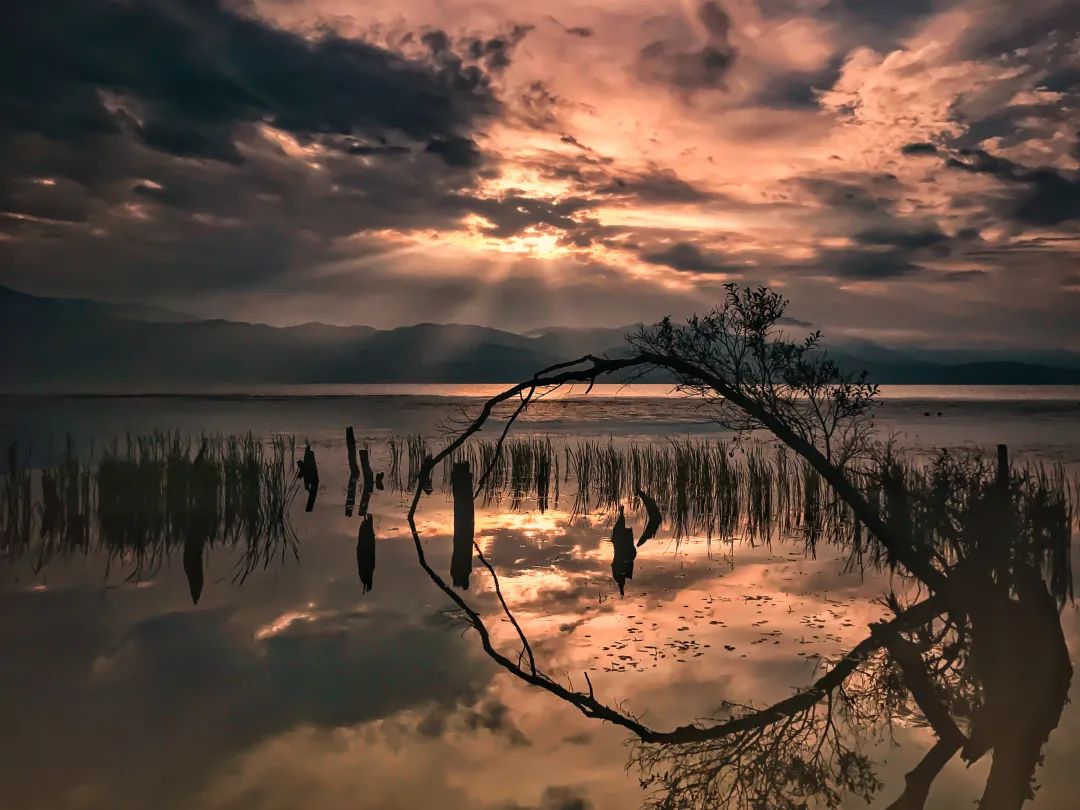 2023平遥国际摄影节获奖摄影作品,2009大理摄影展获奖作品