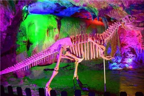 妇女节免费景点推荐,广州三八节免票景点