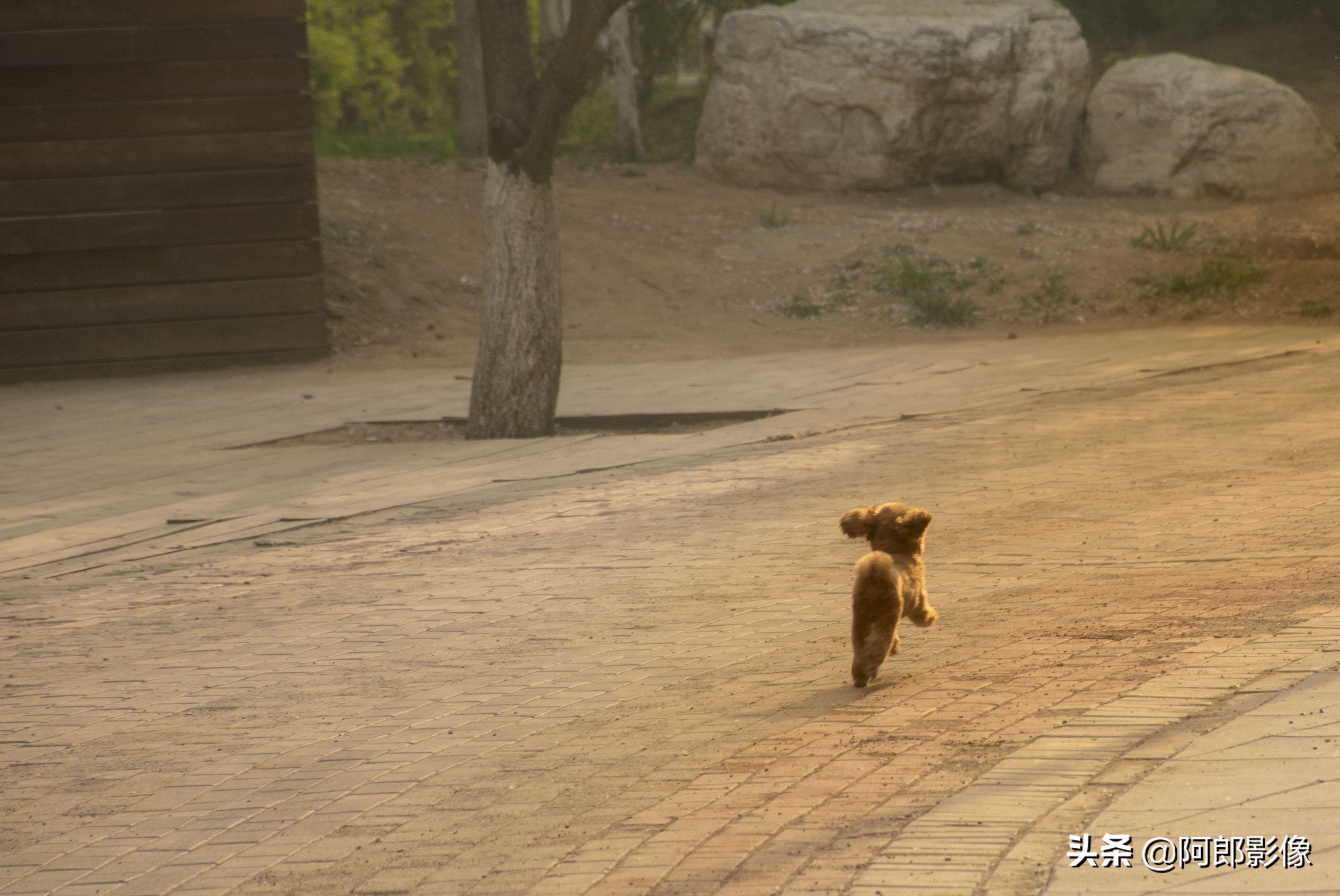 单反摄影入门必备器材清单,跟着阿牛师傅学知识