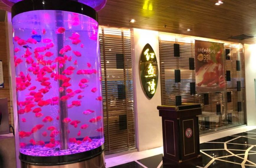 国际庄15家特色网红打卡聚餐圣地!你离美食不足100米的距离