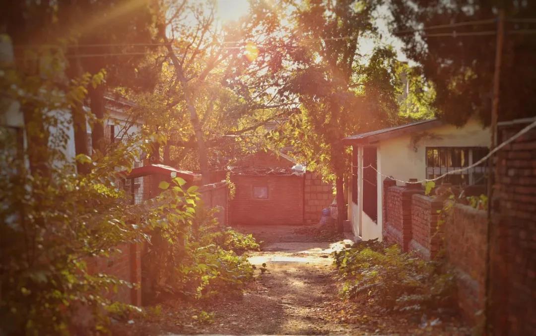 三亚和厦门哪个更值得去玩,三亚和厦门哪个更值得去游玩