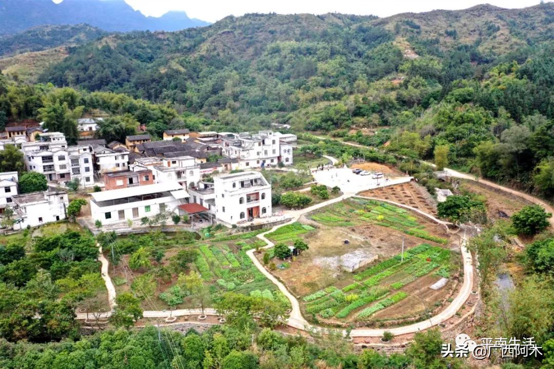 日新月异的家乡变化,家乡的面貌发生了日新月异的变化