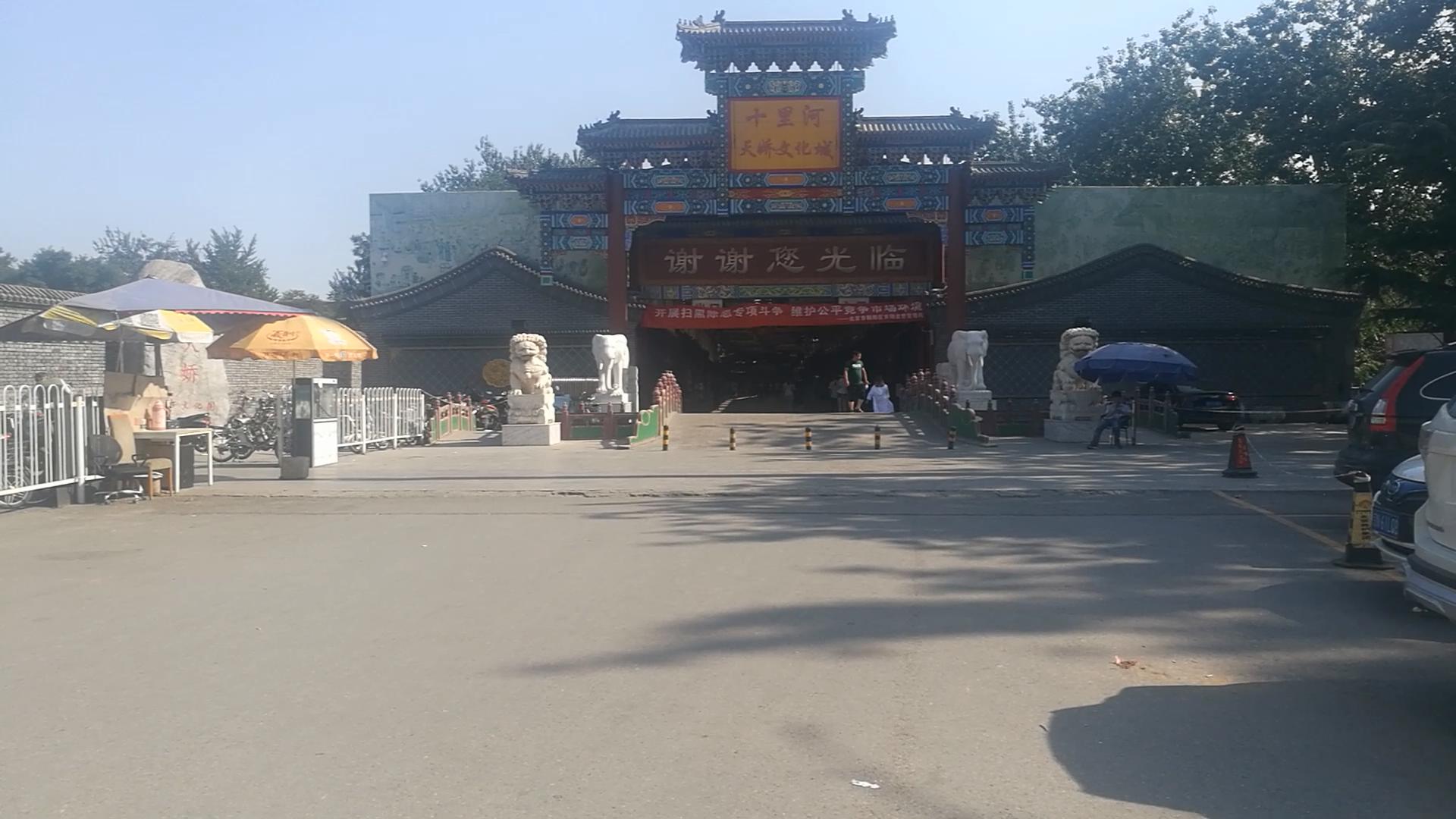 水族店经营技巧,如何让水族店生意越来越好