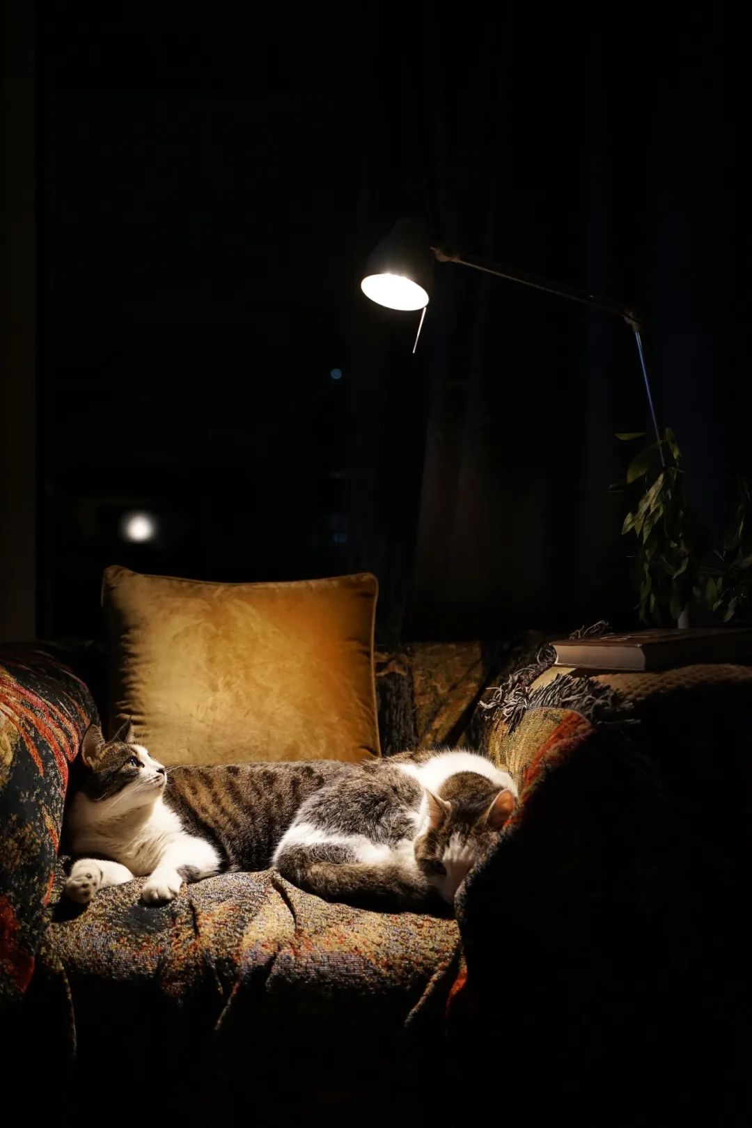 你的专属好物分享,你爱的好物分享