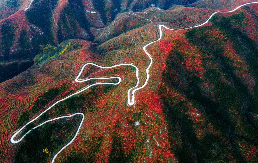 颜值惊艳神仙颜值,颜值爆表长相逆天