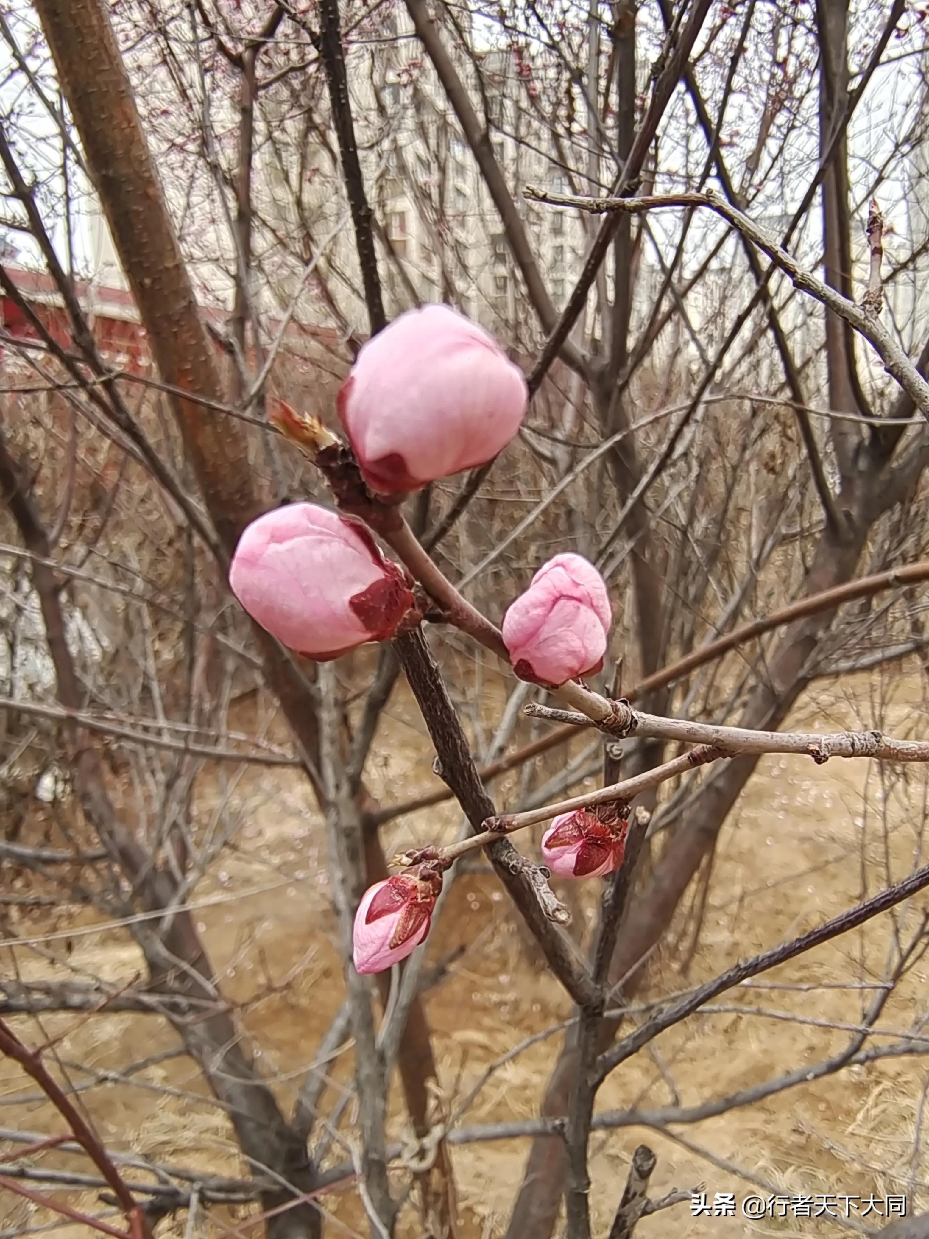 典故大全集,典故大全1000篇