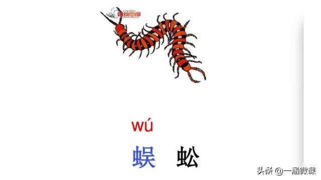 学拼音幼小衔接拼音认读,汉语拼音音节幼小衔接大班