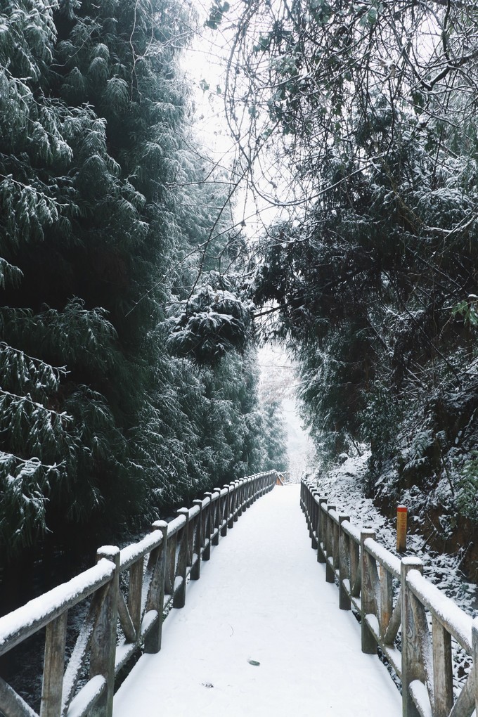 峨眉山七里坪最好的温泉排名,冬季峨眉山七里坪旅游攻略