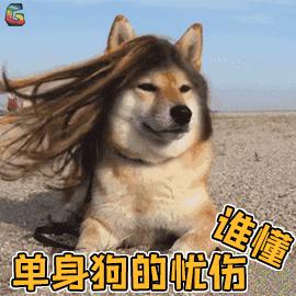 零食乖乖和乖妞什么关系,天津乖乖零食