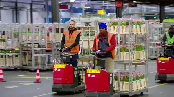 bbc中国探秘纪录片,bbc探秘印尼爪哇古洞