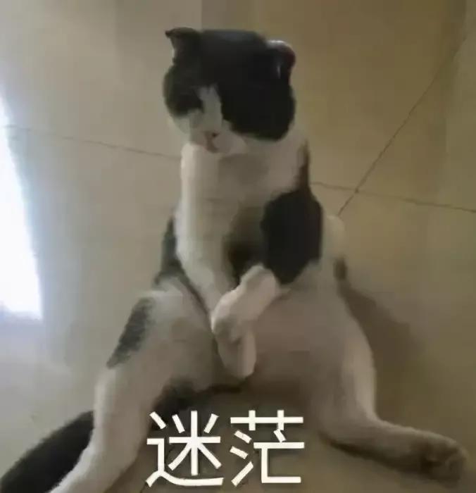 慢性胃炎为什么那么难好,慢性胃炎经常犯怎么办