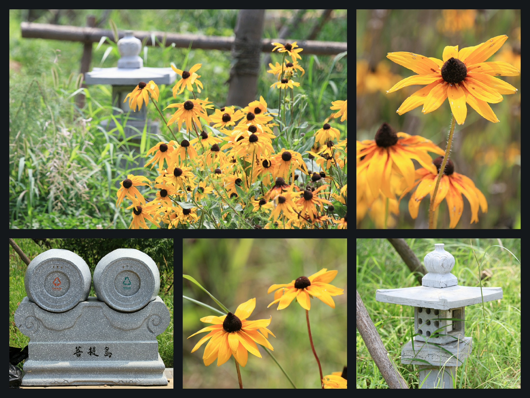 华北第一大海岛,菩提岛历史