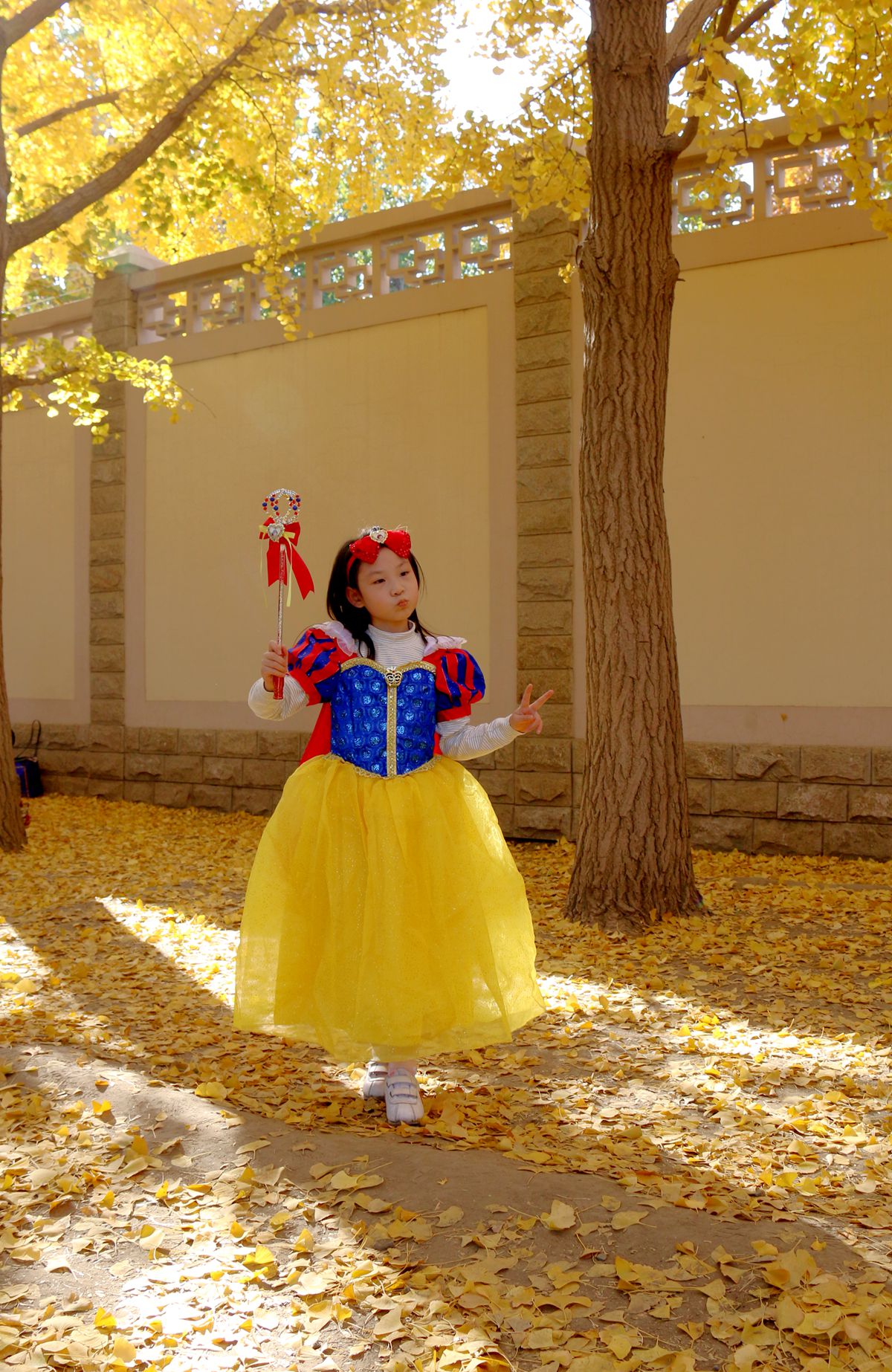 北京钓鱼台国宾馆银杏树大道,北京钓鱼台银杏大道图片