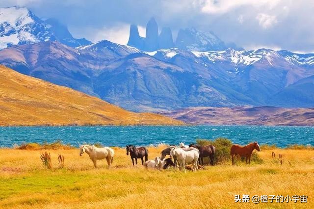 智利沙漠五指山图片,智利五指山的真实生活