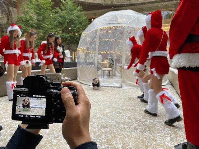 为了让你过好圣诞,他们把全世界搬进了购物中心