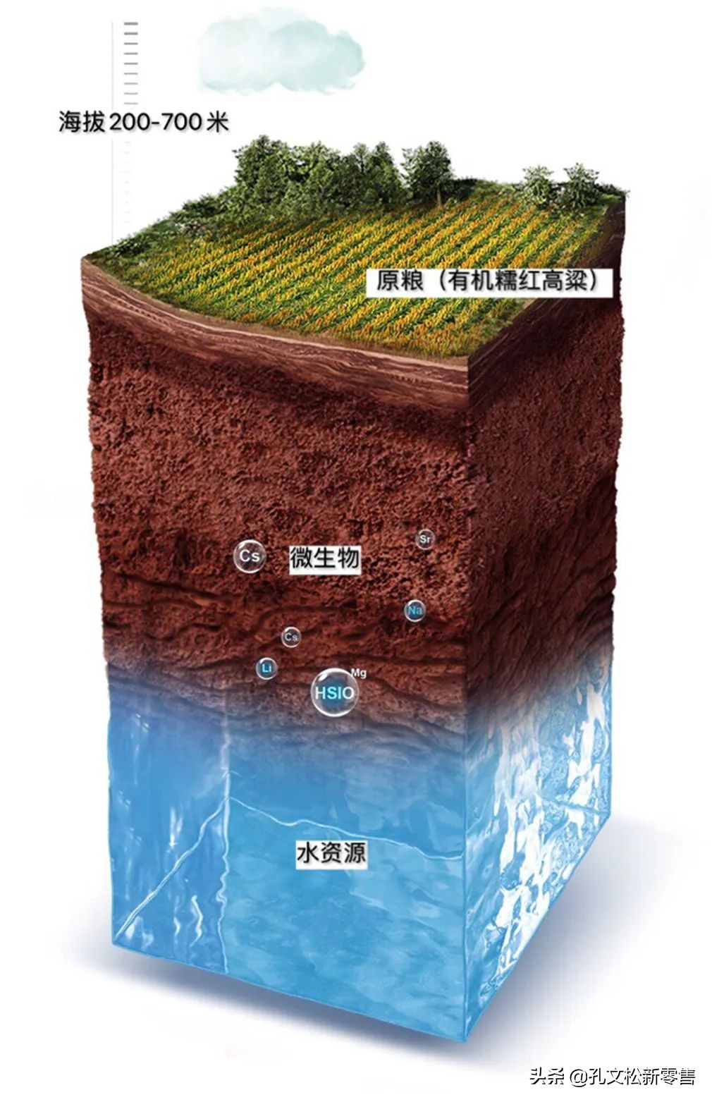 酒是高粱写的诗,关于泸州老窖酒的诗句