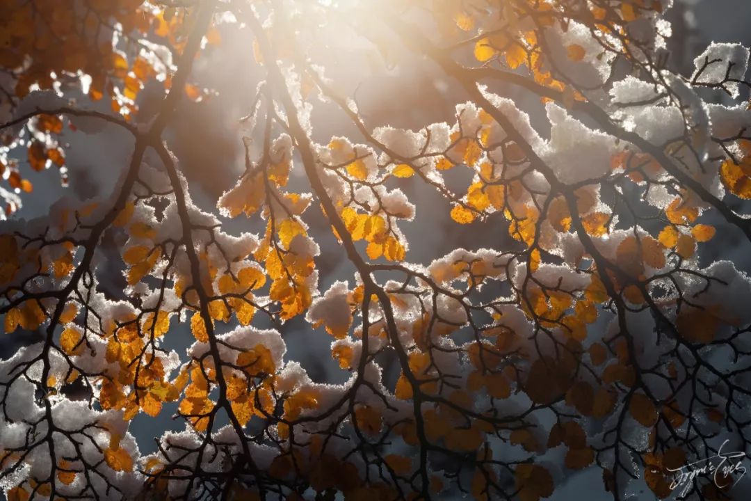 冰雪摄影心得,冰雪拍摄10个思路