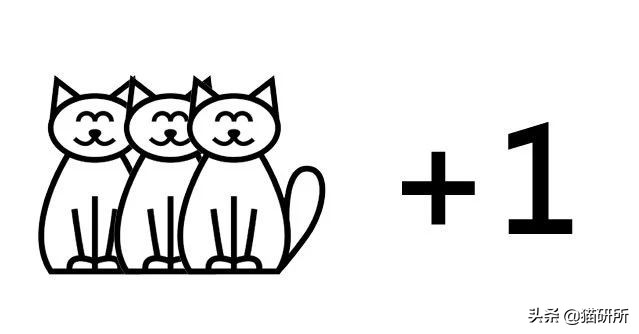 猫砂盆买什么样的最好,猫砂盆选什么的最合适