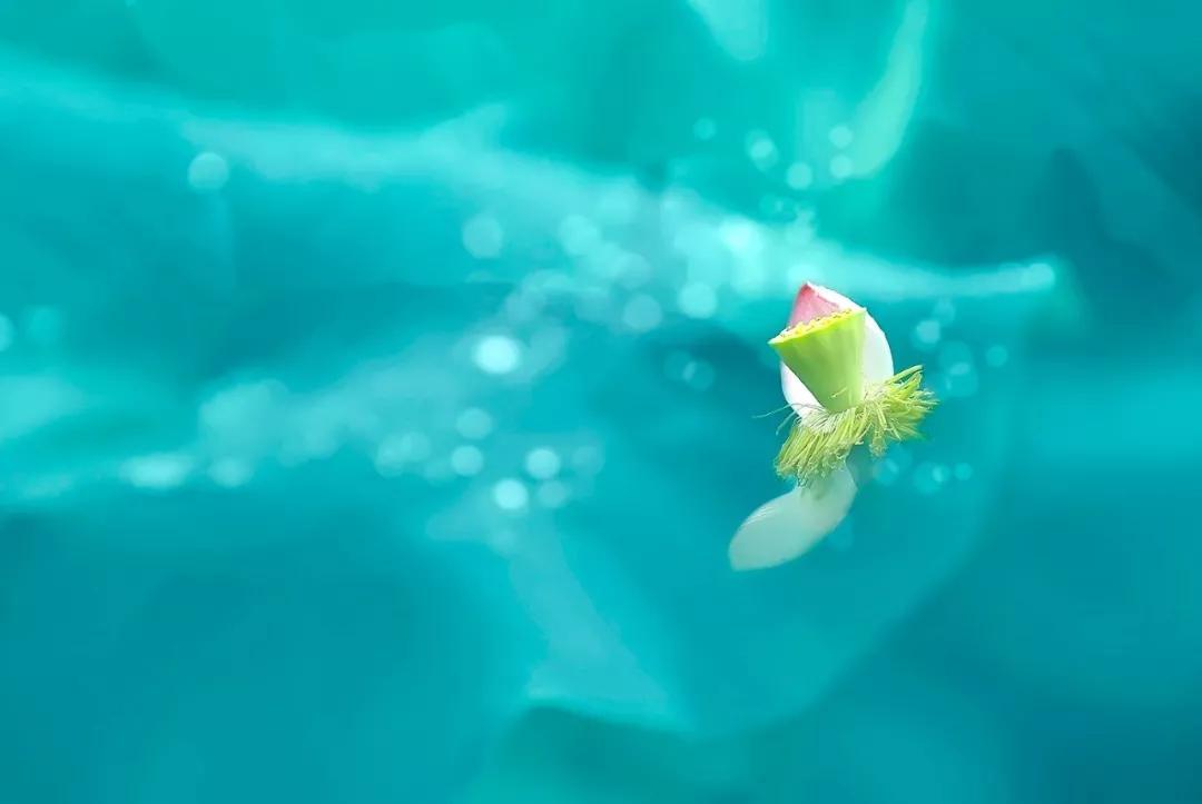 愿你一生不负红尘的诗句,六首诗词愿你岁月不老不负此生