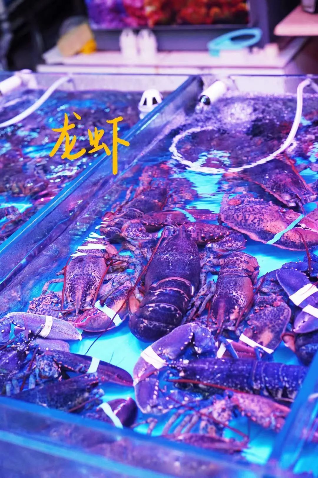 青岛的海给人很惬意,夏天青岛的海边热吗