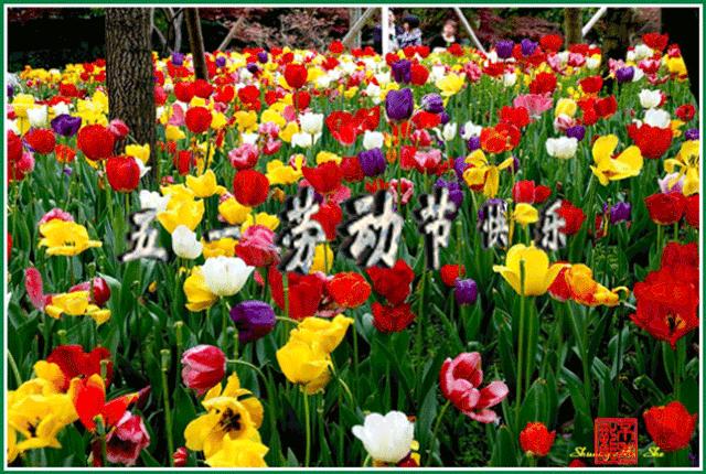 五一劳动节快乐表情包5.1快乐动态微信表情