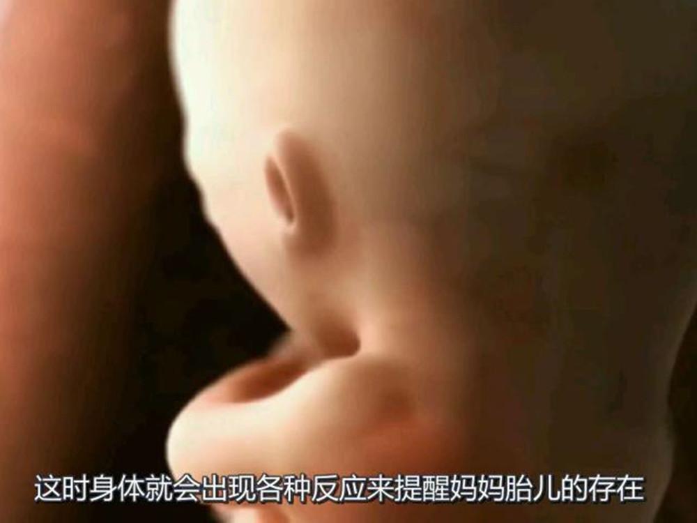 孩子怎么孕育出来的,孩子是如何孕育而成