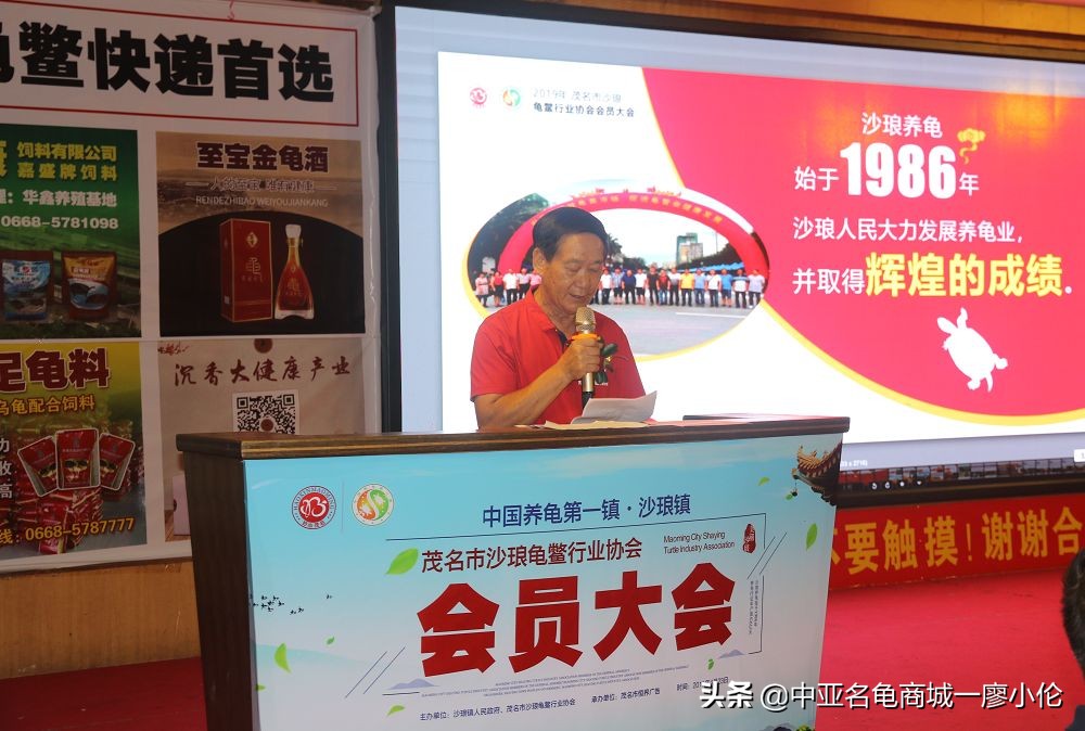 沙琅龟协会,沙琅乌龟协会