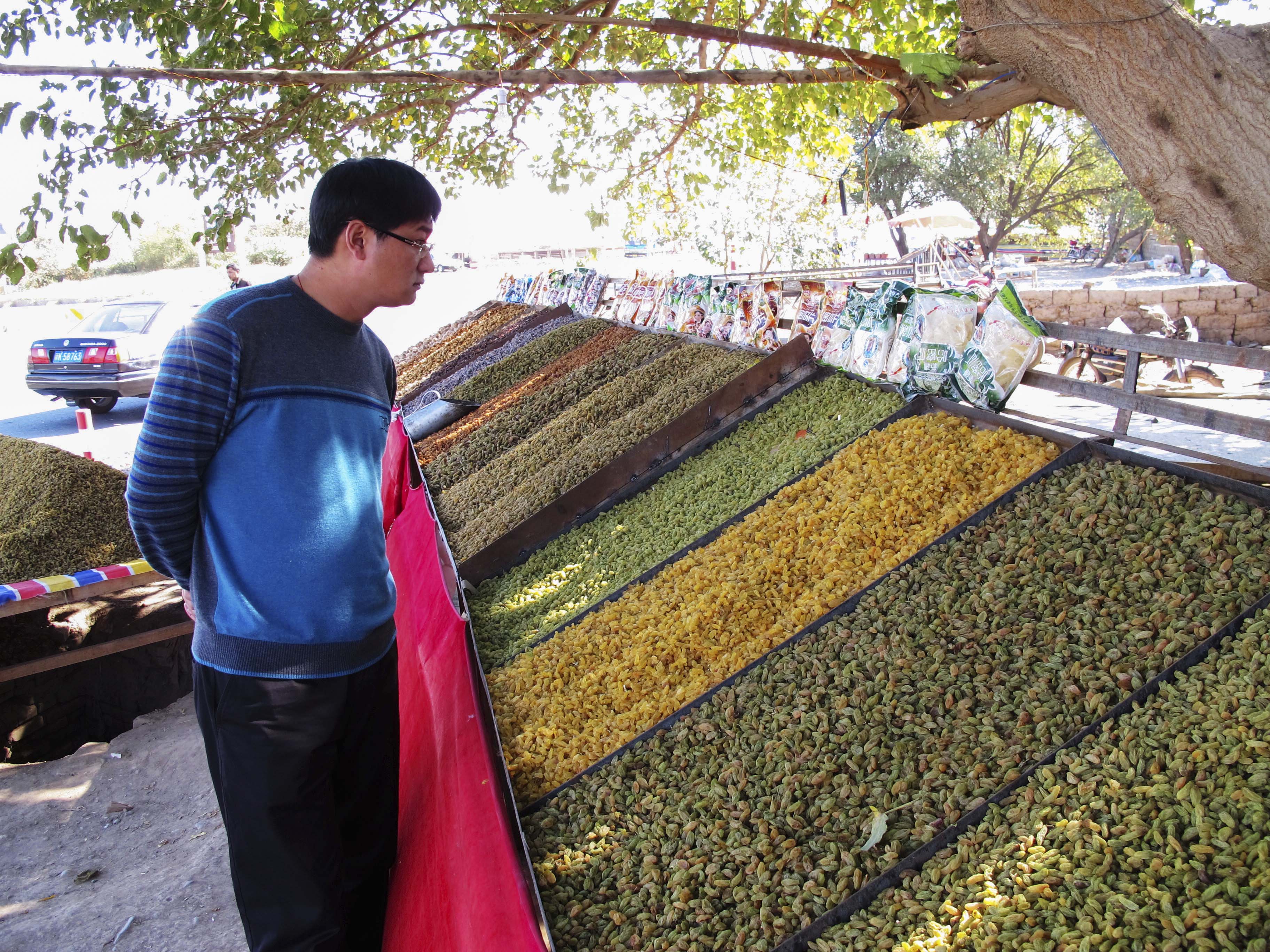 吐鲁番葡萄沟山水,新疆吐鲁番葡萄沟葡萄树的风景
