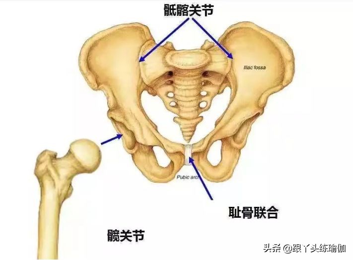 躺下腰痛时骶髂关节痛怎么处理,腰痛屁股痛脚痛是不是肾虚引起的