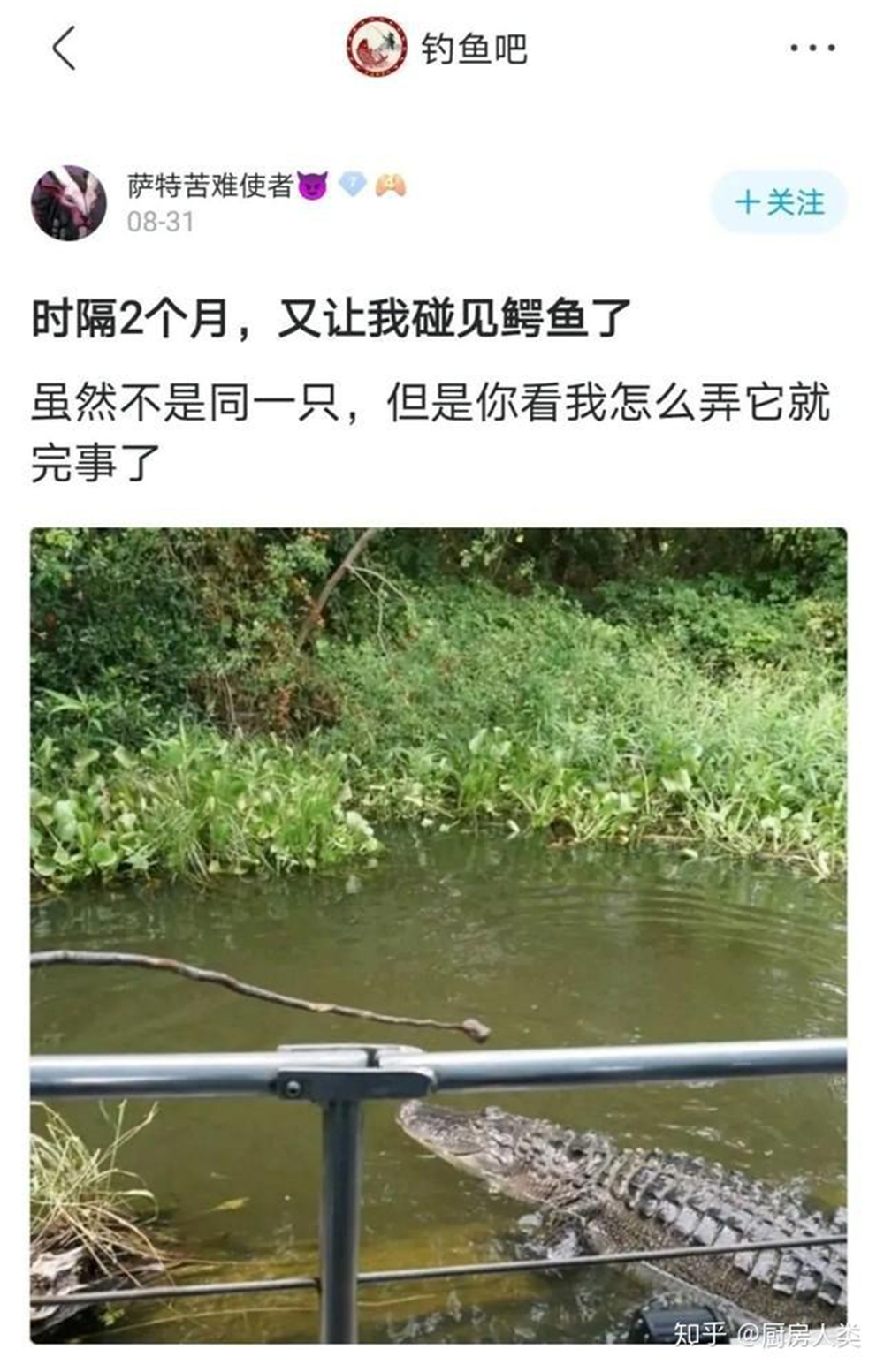 文能提笔安天下武能握枪保家国,文能提笔安天下武能挥刀治国家