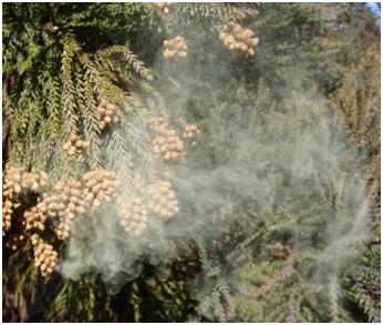 让你过敏,让人过敏的方法