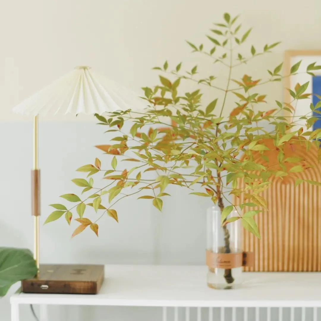 杭州女生老破小装修改造,装修漂亮女工