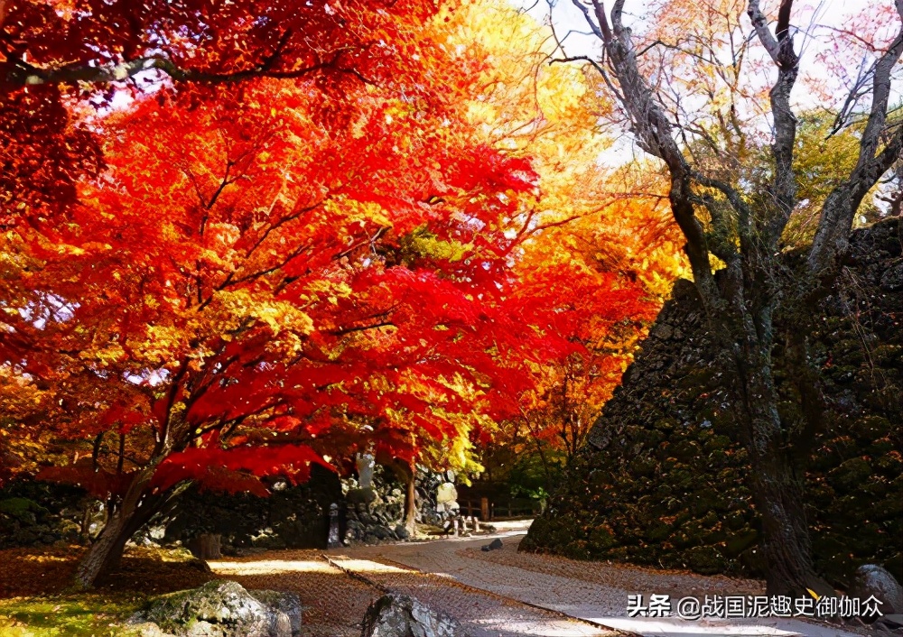日本的三大古城堡,日本广岛城堡