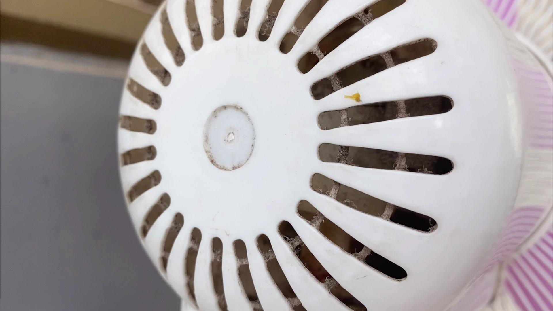 电风扇不管多脏不用拆教你洗,电风扇不管多脏只需一个塑料袋