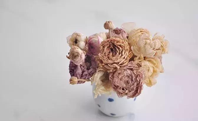 8种能做干花的鲜花,男朋友送的花就这么做