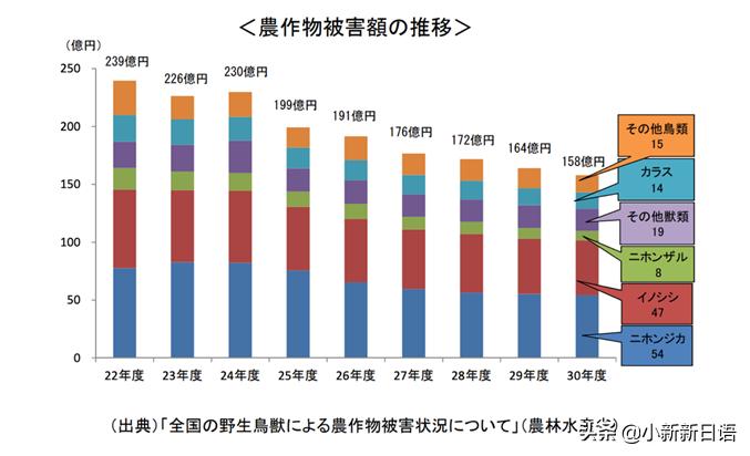 日本人为什么爱吃板栗,日本人为什么爱吃鱼