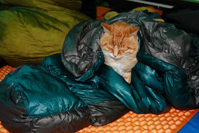 户外露营帐篷日常保养方法,露营帐篷如何保养清洗