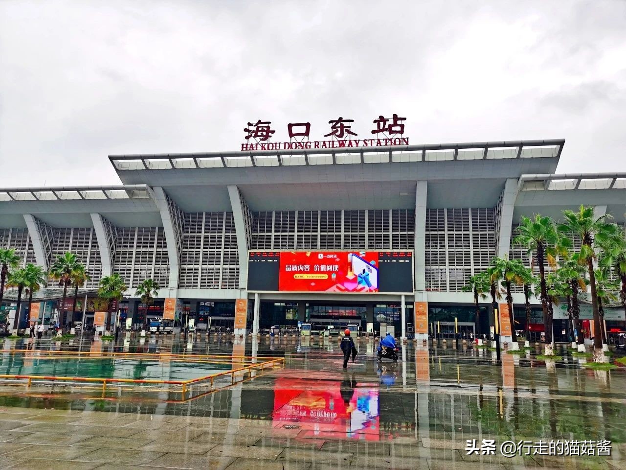 第一次去海南,海南旅游哪里的海鲜最实惠