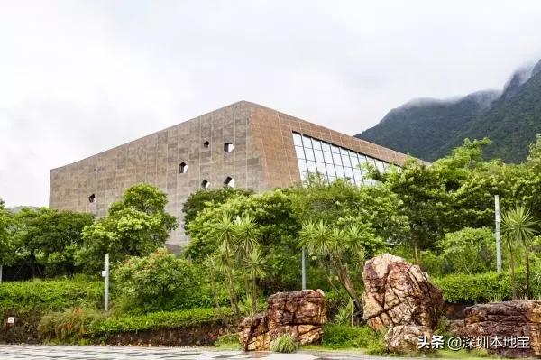 深圳完全免费的十大景点,深圳10大免费景点上集