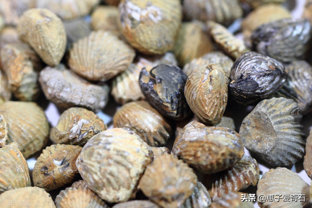 台湾稀世珍宝排名,台湾奇石精品图片