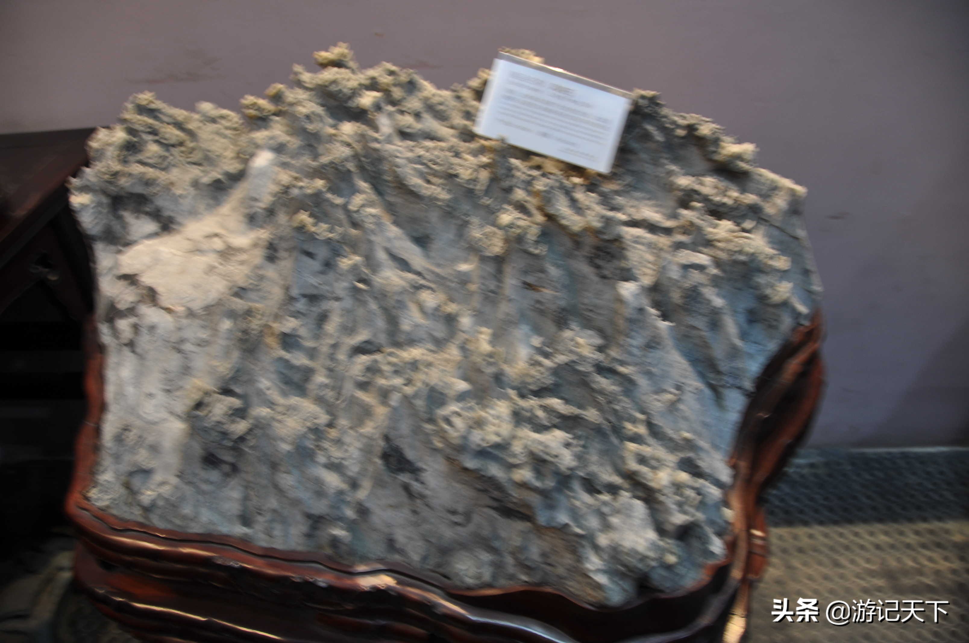 参观上海东方地质科普馆,上海东方地质科普馆需要预约吗