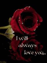 5201314，送你999玫瑰花，祝你爱情甜甜蜜蜜