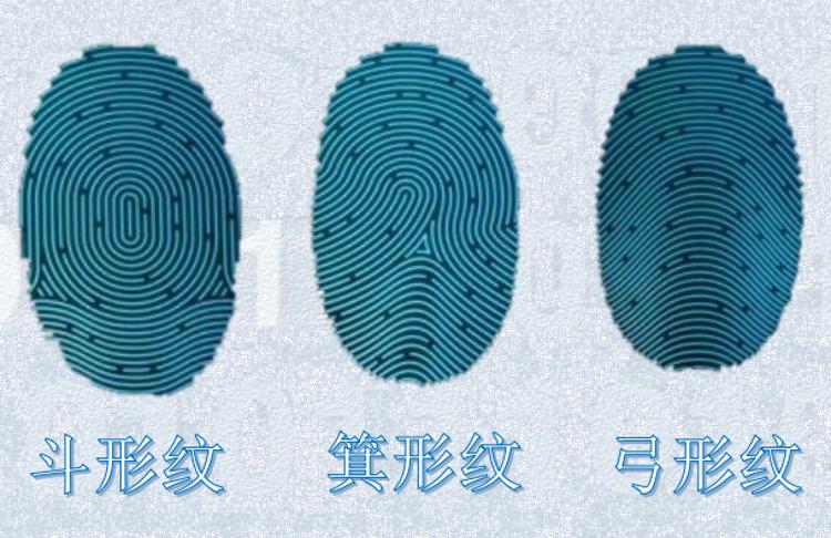 想成为私家侦探学徒,想成为侦探应该怎么考