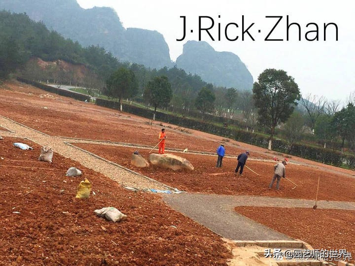 果岭草坪的种植养护方法及技巧,怎么种植一个可以躺的草坪